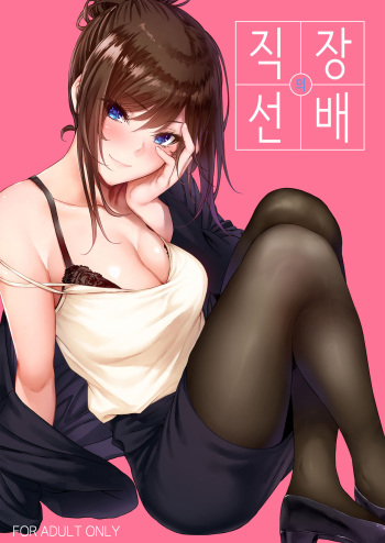 [IV VA SHIN (Mikuni Mizuki)] Shokuba no Senpai | 직장의 선배 [Korean] [Digital] cover