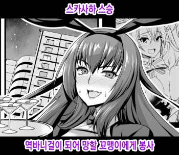 [Ankoman] Scathach Shishou, Gyaku Bunny Sugata de Kusogaki ni Houshi Suru | 스카사하 스승, 역바니걸이 되어 망할 꼬맹이에게 봉사 (Fate/Grand Order) [Korean] cover