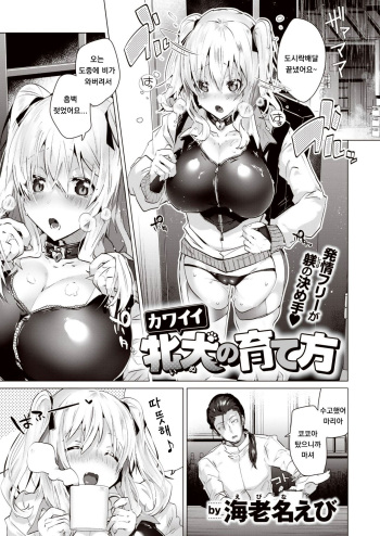 [Ebina Ebi] Kawaii Inu no Sodatekata (COMIC Kairakuten BEAST 2021-07) [Korean] [Digital] cover