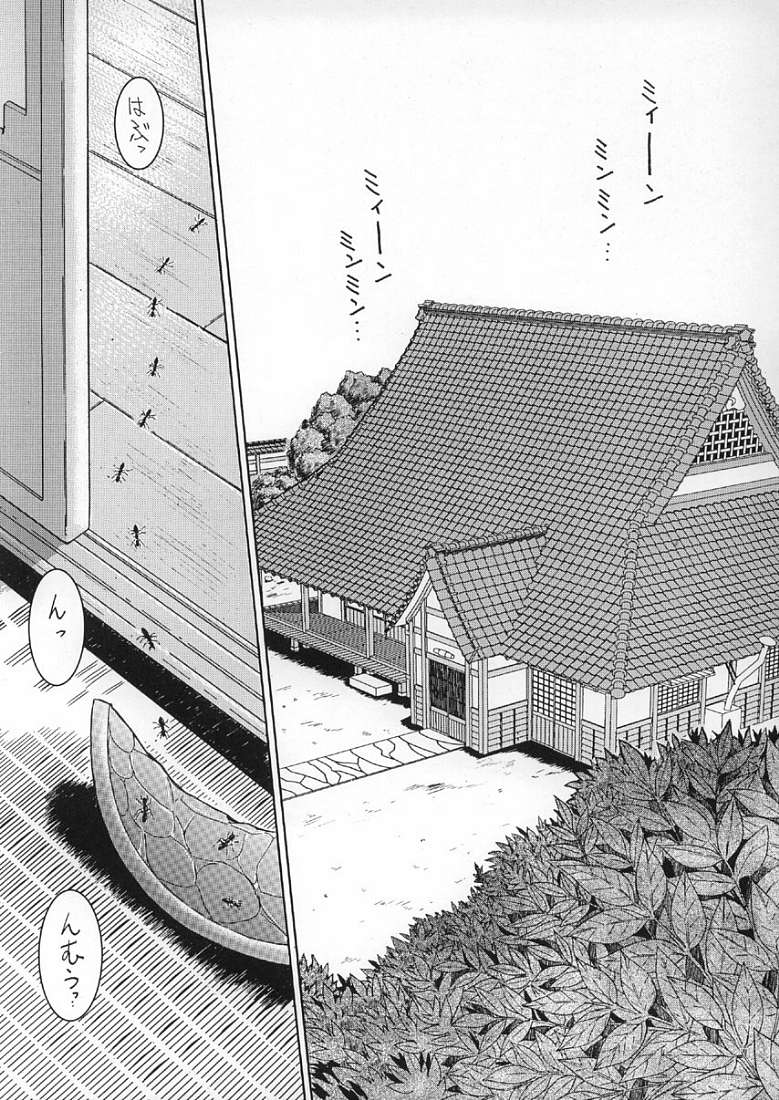 MIDGARD page 4 full