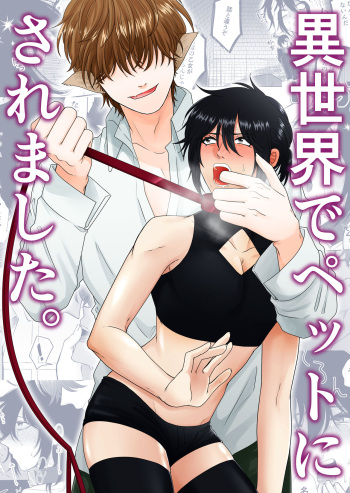 [歯車] 異世界でペットにされました。 cover
