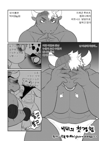 [Bighornsheep] Big B's First Experience [Korean] cover