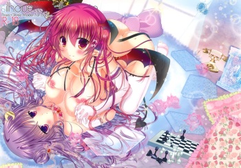 (C85) [Setoran (Itou Seto, Tanno Ran)] silhouette silhouette (Touhou Project) cover