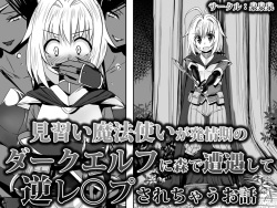 Minarai Mahoutsukai ga Hatsujouki no Dark Elf ni Mori de Souguu Shite Gyaku Rape Sarechau