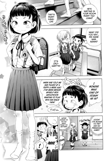 [Ponpon Itai] Ganbare Kanacchi | Hang In There Kana-chi! (Puchi Love Kingdom) [English] {Mistvern + Bigk40k} cover
