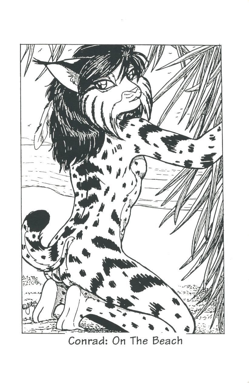 Furloose! №11 page 11 full