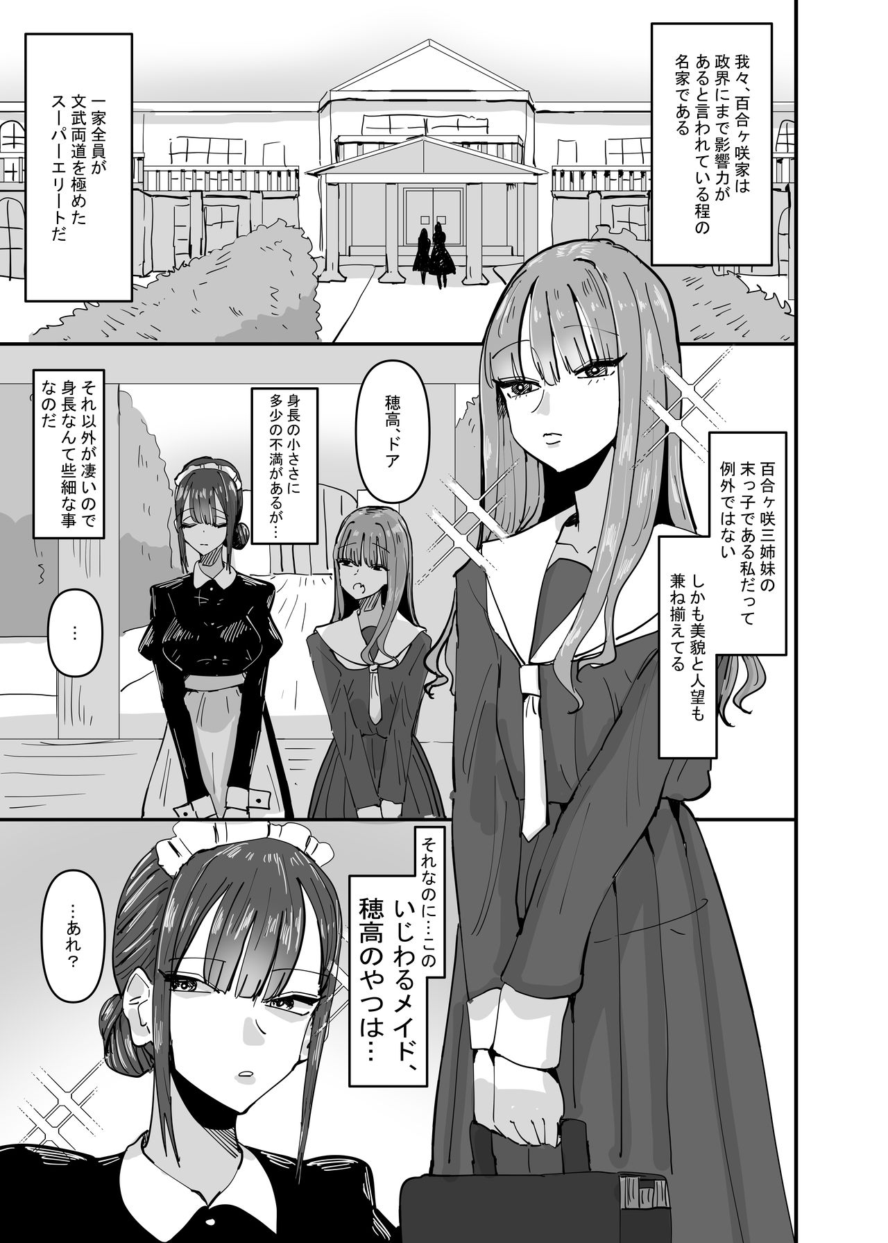 Ijiwaru na Do-S Maid o Wakarasetai Ojou-sam no hanashi page 3 full