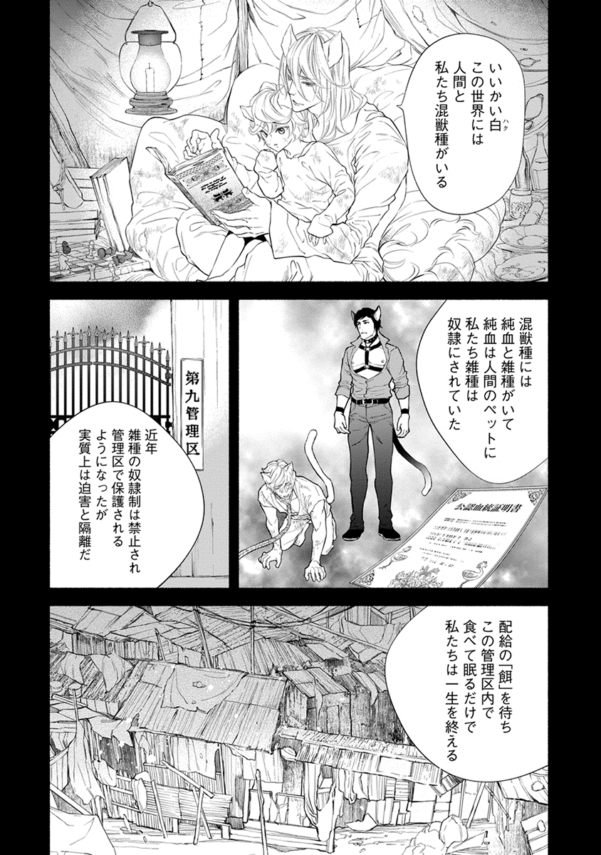 Kemono wa Oku made Aisaretai page 11 full