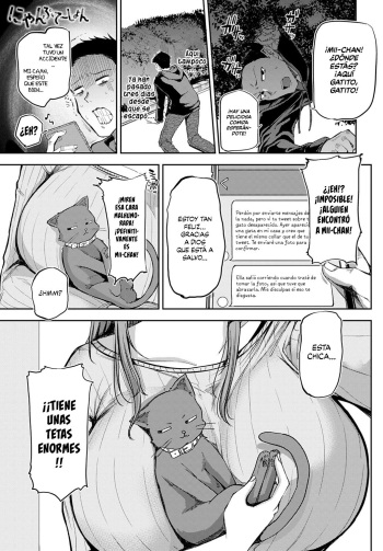 [Miyoshi] Nyanptation (COMIC Anthurium 2021-03) [Spanish] [HentaIsLife Scans] [Digital] cover