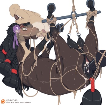 [Patreon] Etheross cover