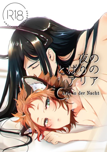 [Mauu] [Web Sairoku] Yoru No Tobari No Aria [Ushitora] cover