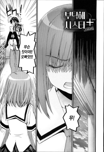 [Saegusa Kohaku] Onegai Sister Plus Final | 부탁해 시스터 플러스 파이널 [Korean] [죽기싫다냥] cover