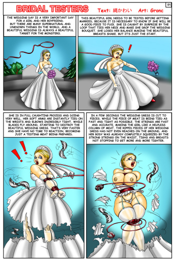 [Gronc] Bridal Testers cover