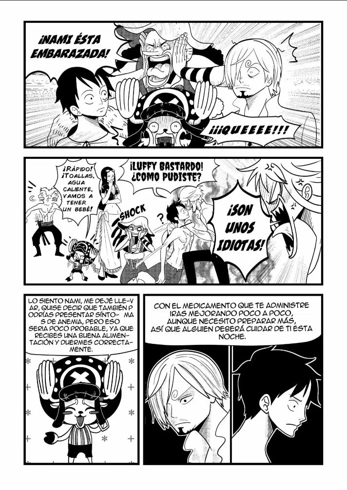 - One Piece - Capitulo 1: Una noche muy caliente en el Sunny page 11 full