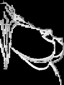 Toono Otoha  Deisui NTR