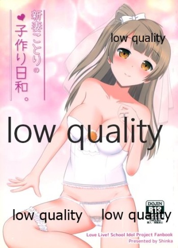 (Bokura no Love Live! 18) [Rainy Eternity (Shinka-san)] Niizuma Kotori no Kozukuri Biyori. (Love Live!) cover