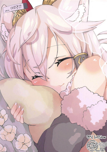 (C95) [Kowaremono (Mattya-sama)] Ilminkan | 이르면간 (Puzzle & Dragons) [Korean] cover