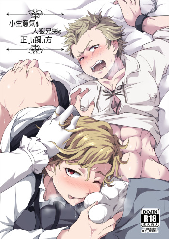 [LV43 (Shia)] Konamaiki na Jinrou Kyoudai no Tadashii Kaikata (Jinrou Judgement) [Digital] cover