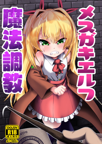 [Owakari Itadaketa darou ka (Umiyamasoze)] Mesugaki Elf Mahou Choukyou [Korean] [Digital] cover