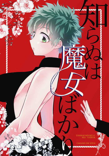 (Douyara Deban no Youda! 19) [Yurikago (Yuri)] Shiranu wa Majo bakari (Boku no Hero Academia) [Sample] cover