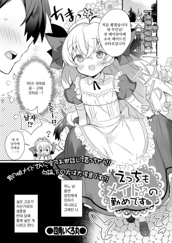[Shikakui Kuromaru] Ecchi mo Maid ♂ no Tsutome Desu (Gekkan Web Otoko no Ko-llection! S Vol. 61) [Korean] [Digital] cover