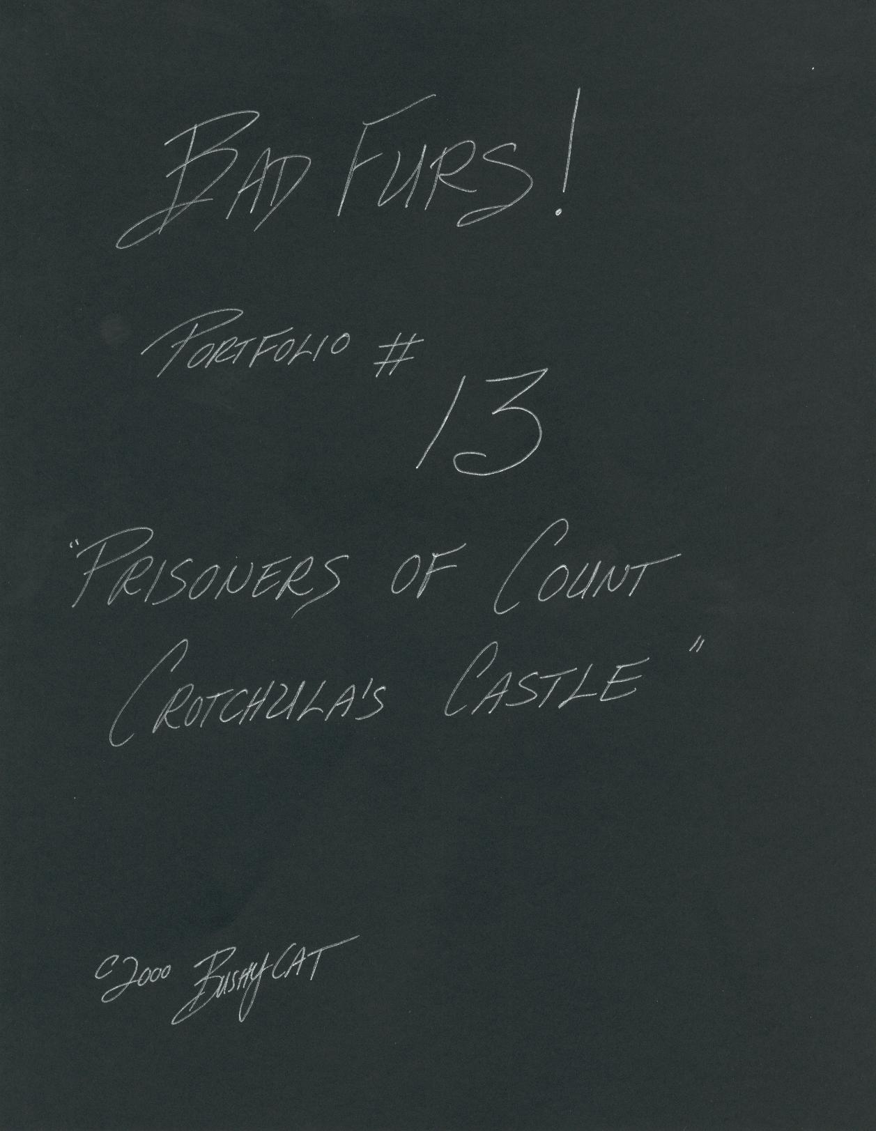 BadFurs! №13 - Prisoners of Count Crotchula's Castle page 1 full