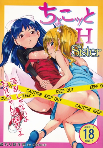 (C71) [Neko iri bako dairi (Maimu-Maimu)] Chokotto H Sister (Chokotto Sister) cover