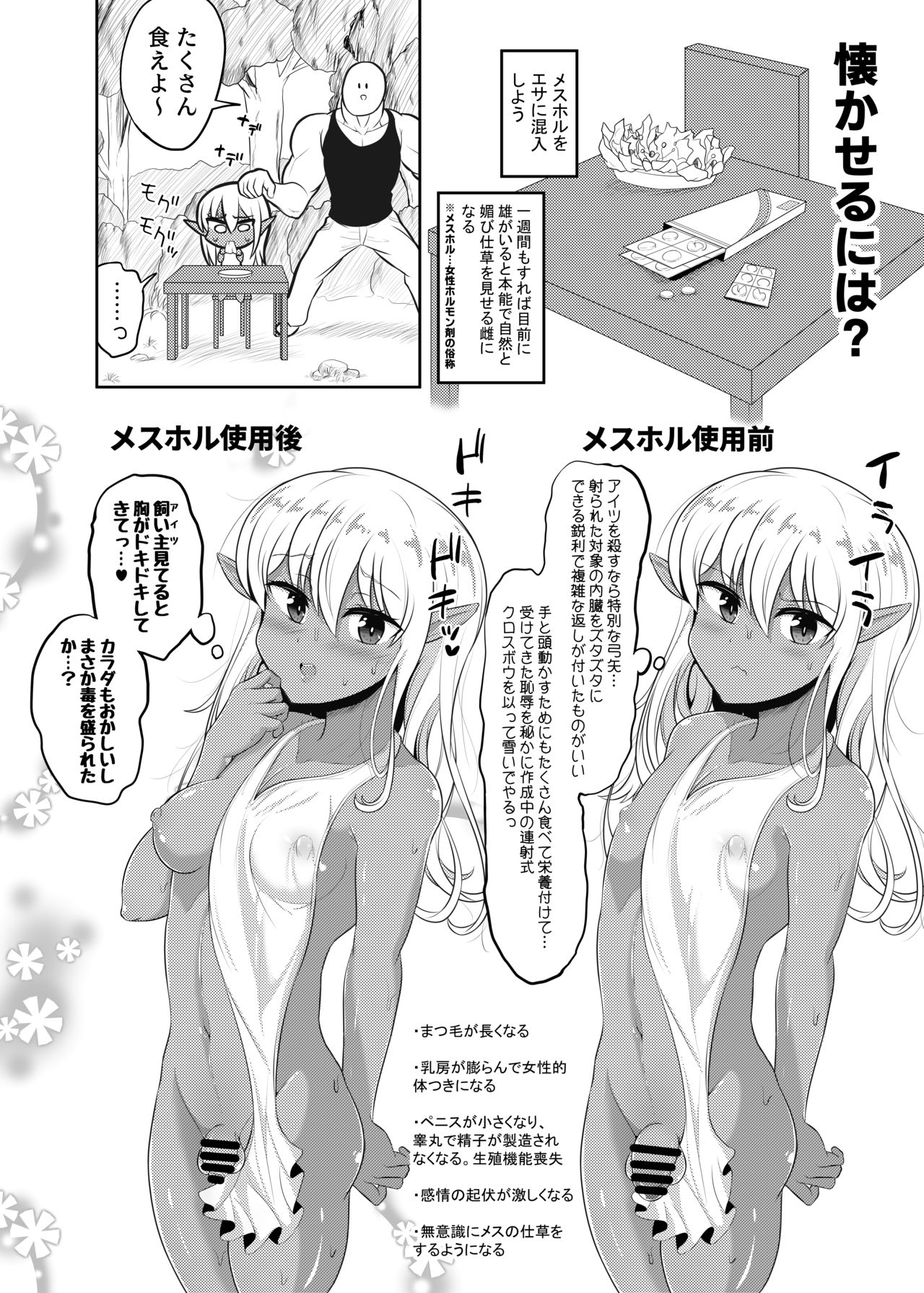Kasshoku Elf-kun no Kaikata page 12 full