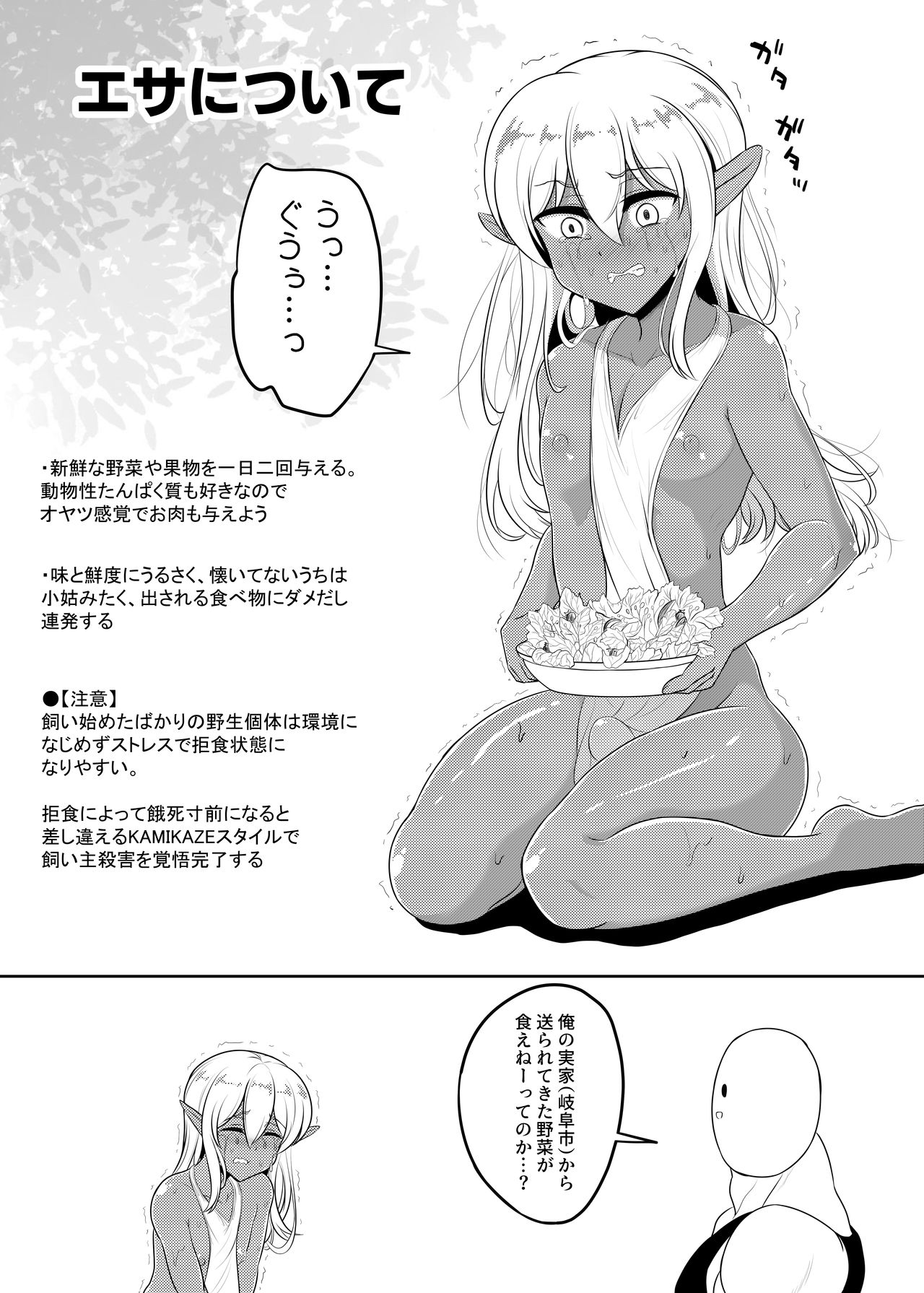 Kasshoku Elf-kun no Kaikata page 9 full