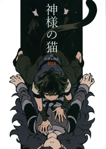 [NANIMO (52)] 神様の猫 (羅小黒戦記) cover