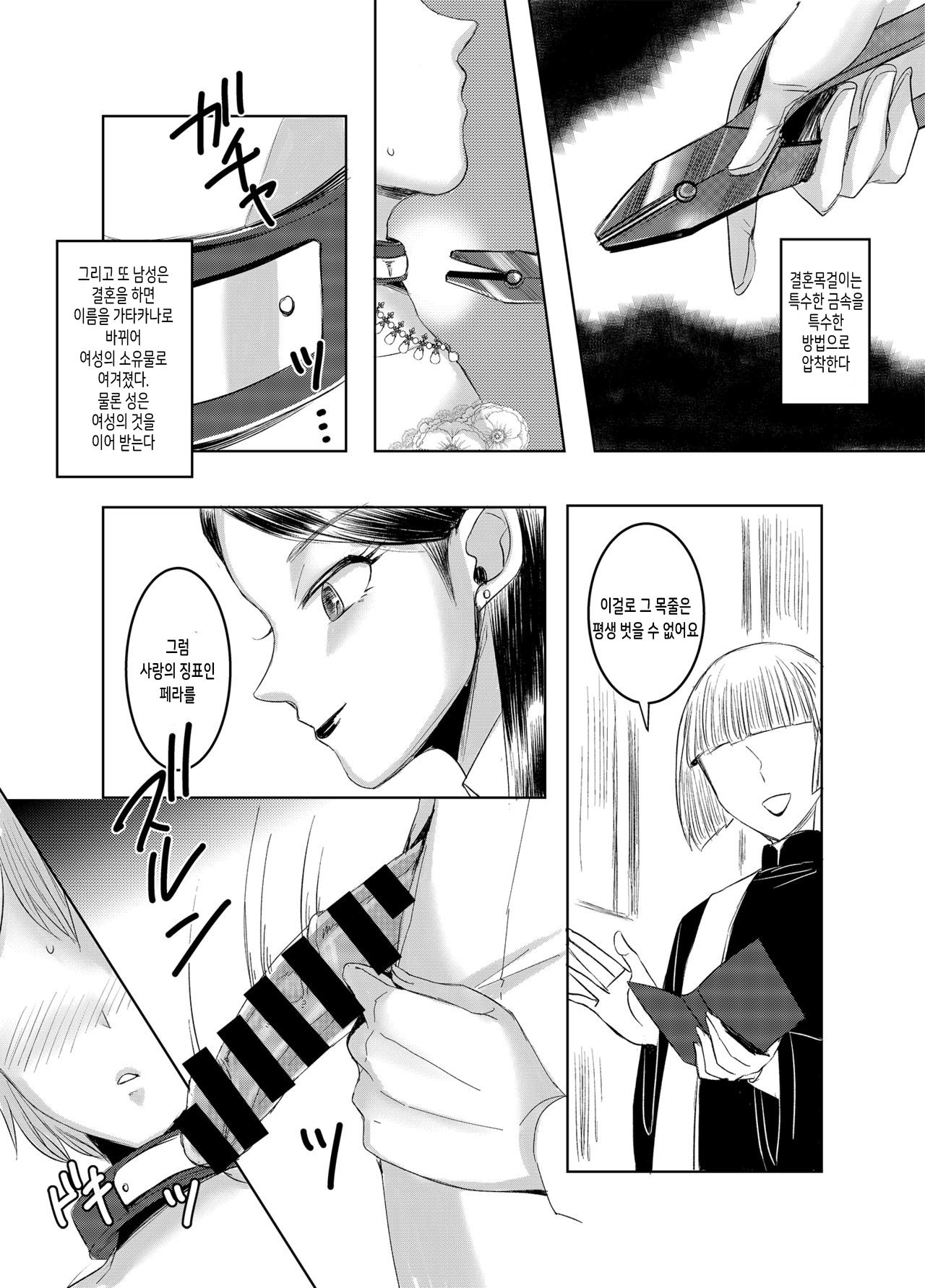 Joken Kokka ni Okeru Konin to Kazoku Seikatsu | 여성 상위 국가의 혼인과 가족생활 page 9 full
