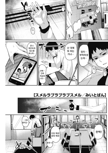 [Miitoban] Smell love love love smell (COMIC HOTMILK 2018-12) [Korean] [Digital] cover