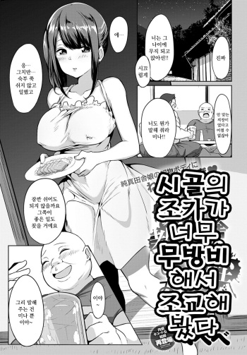 [Bebebe] Inaka no Mei ga Muboubi sugiru node Choukyou Shite mita (COMIC Anthurium 2020-06) [Korean] [Digital] cover