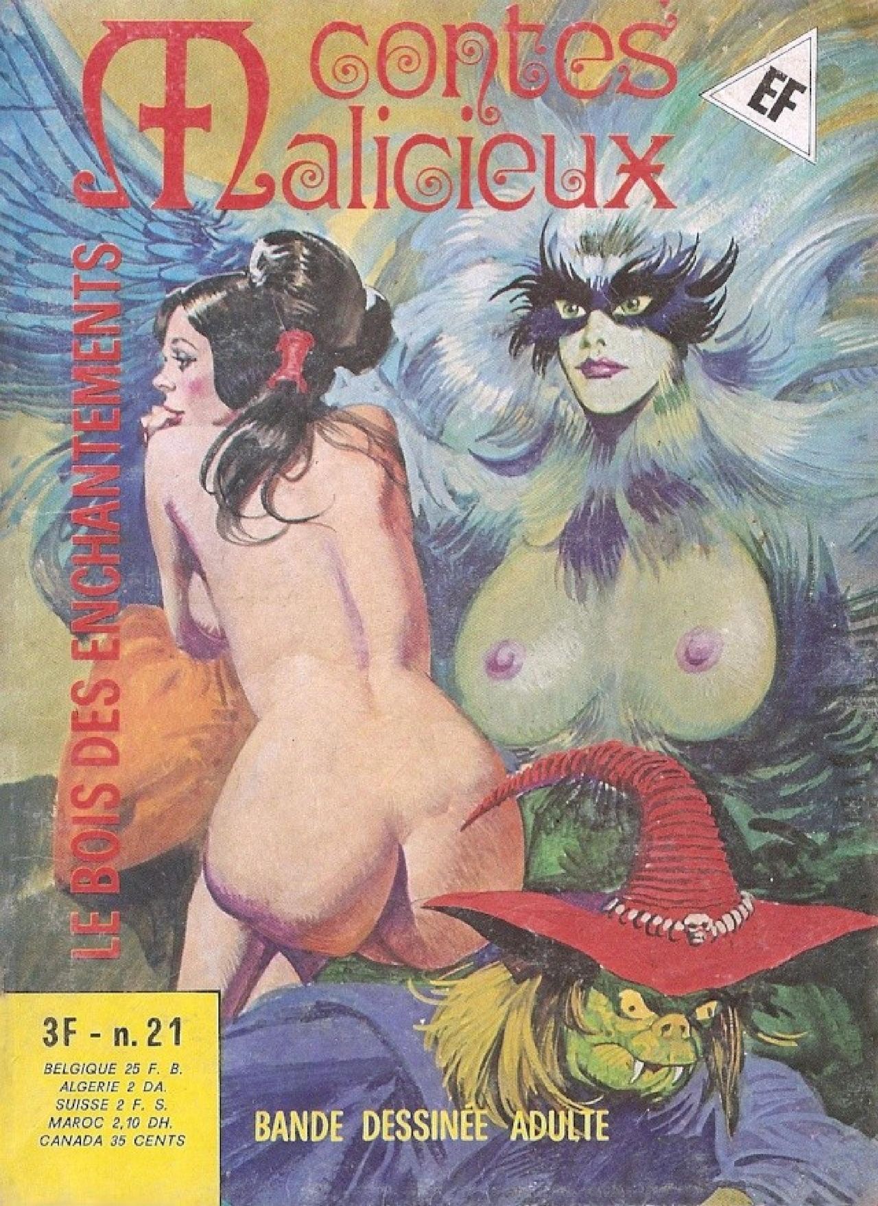 Contes malicieux - T21 - Le bois des enchantements page 1 full