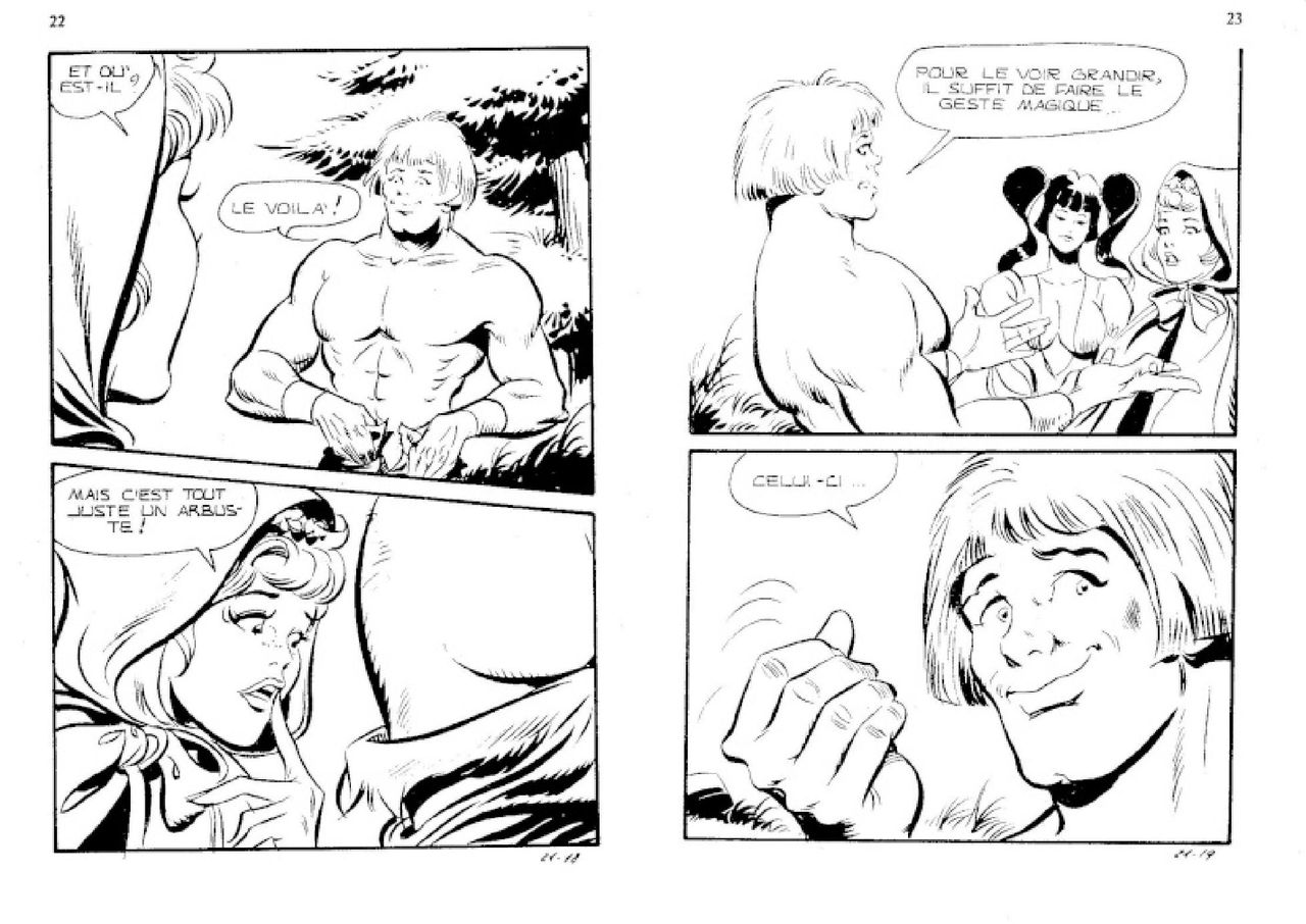 Contes malicieux - T21 - Le bois des enchantements page 12 full