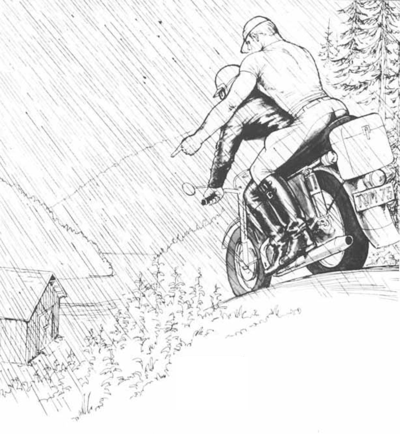 Sex in the Shed page 6 full