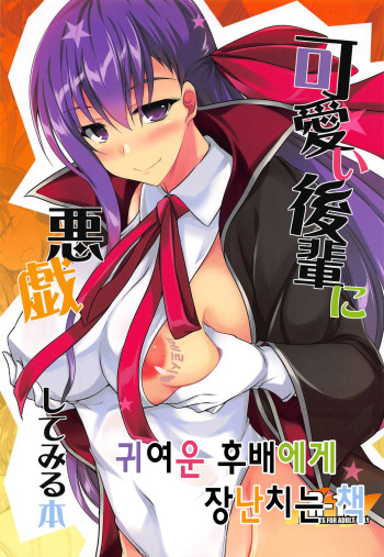 (SC2018 Autumn) [ELHEART'S (Ibuki Pon)] Kawaii Kouhai ni Itazura Shite Miru Hon｜귀여운 후배에게 장난치는 책 (Fate/Grand Order) [Korean] cover