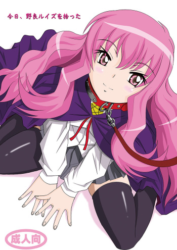 [Haruhondoh (Haruhonya)] Kyou, Nora Louise o Hirotta (Zero no Tsukaima) [Digital] cover