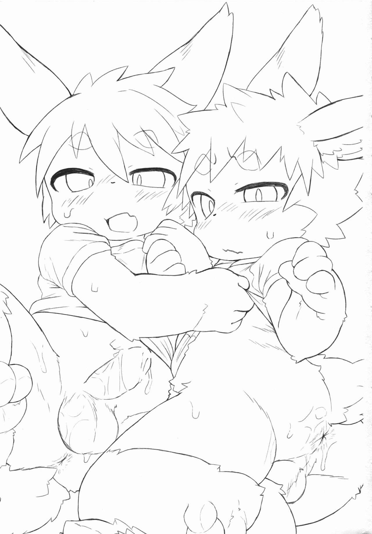 USATAN page 2 full