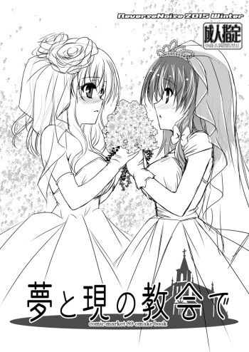 [Reverse Noise (Yamu)] Yume to Utsutsu no Kyoukai de (Touhou Project) [Digital] cover