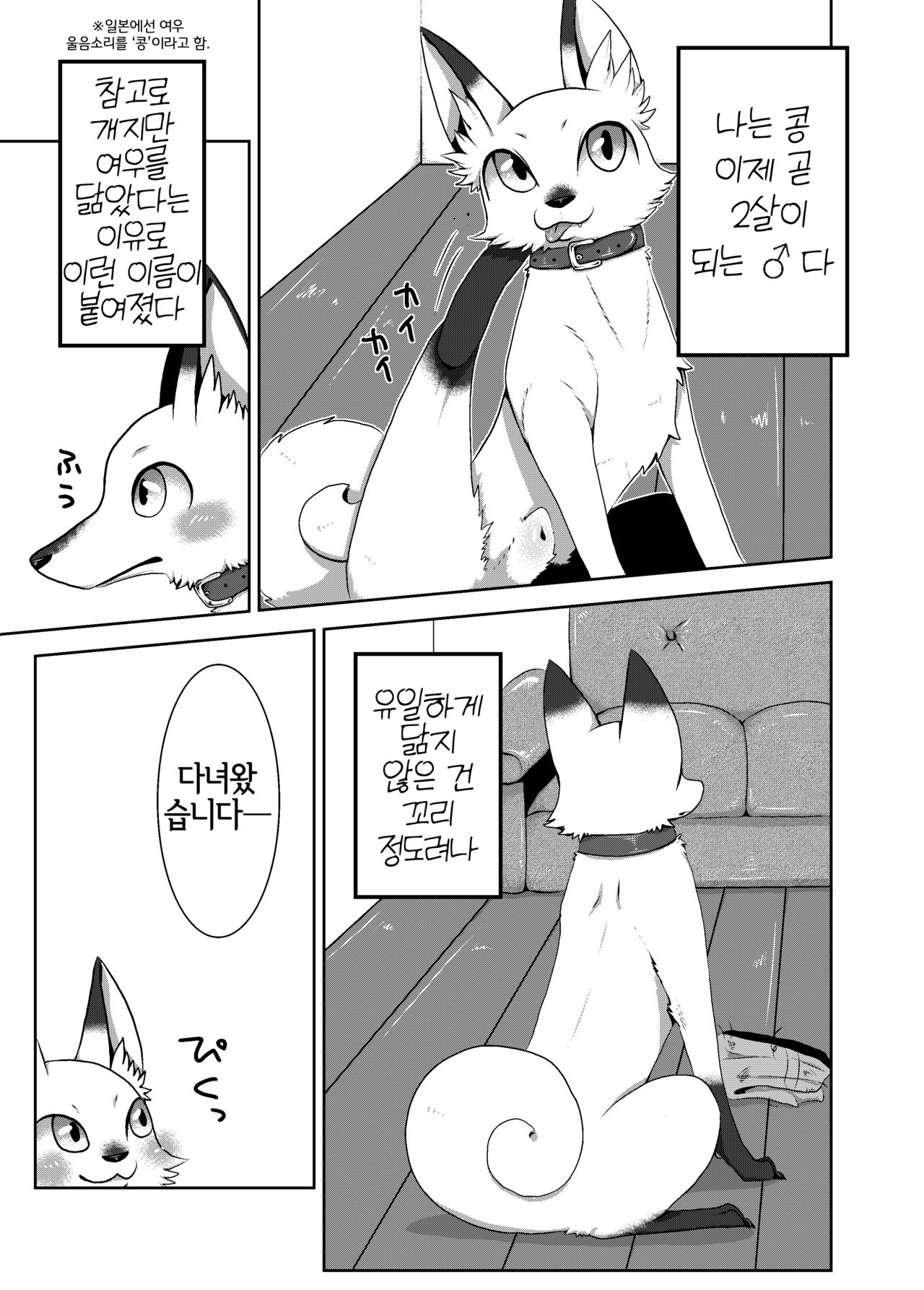 Koko Hore Wanwan! page 2 full