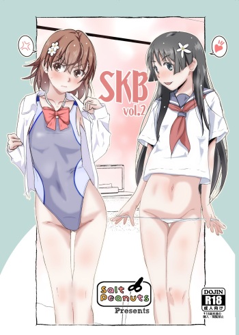 [Salt Peanuts (Niea)] SKB vol. 2 (Toaru Kagaku no Railgun) [English] {Doujins.com} [Digital] cover