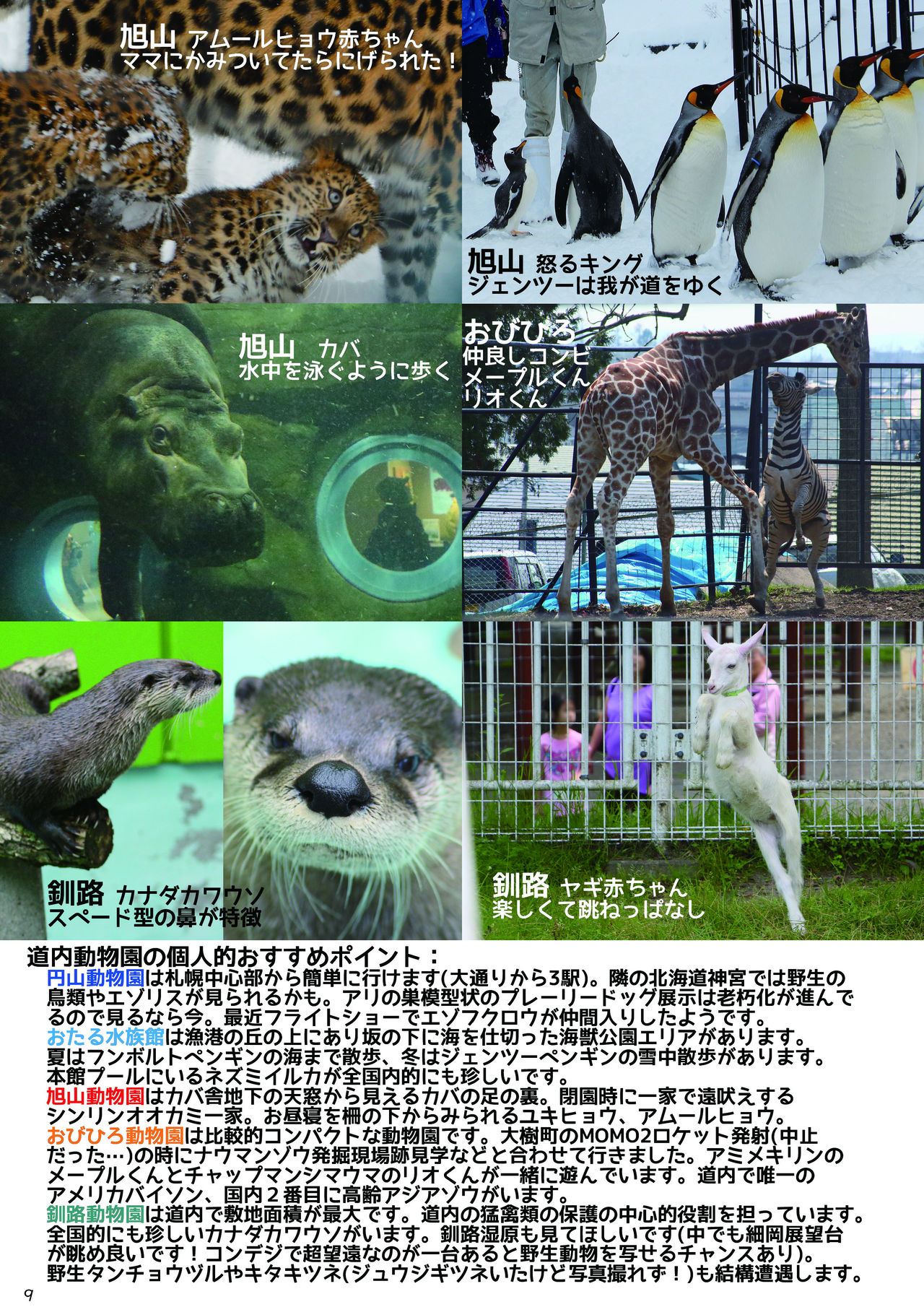 may Kemono Friends Thre Goudoushi 2 page 11 full