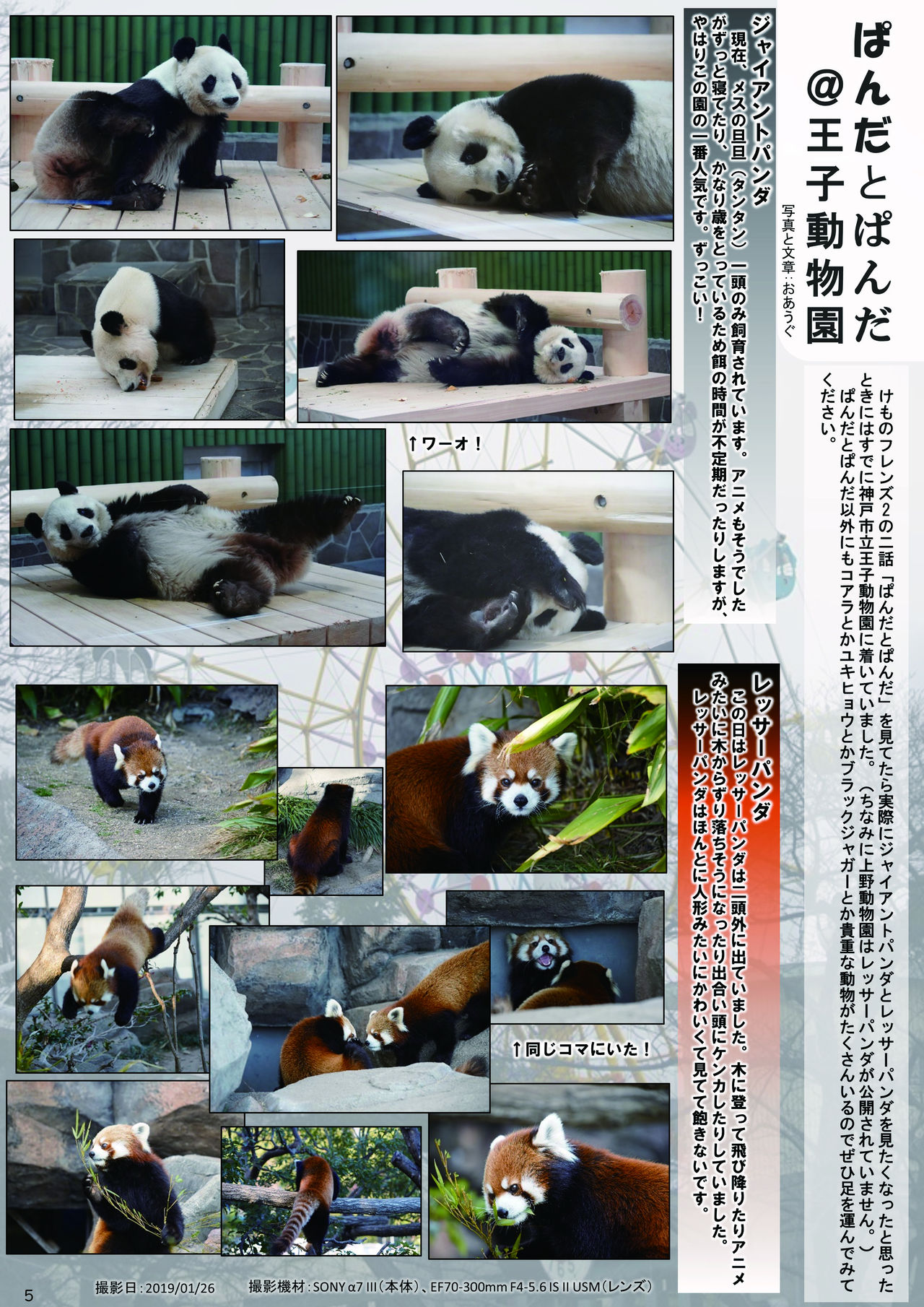 may Kemono Friends Thre Goudoushi 2 page 7 full