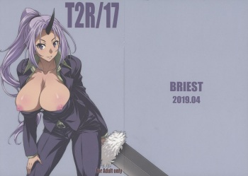 (COMIC1☆15) [BRIEST (Yashima Tetsuya)] T2R/17 (Various) cover