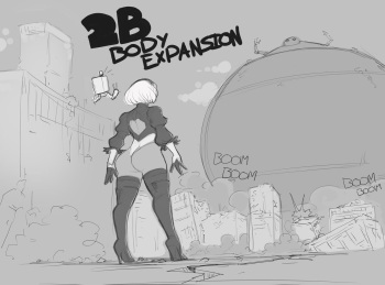 [berggie] 2B Body Expansion cover
