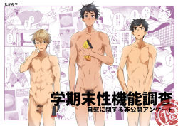 Gakkimatsu Seikinou Chousa -Jii ni Kansuru Hikoukai Enquete-