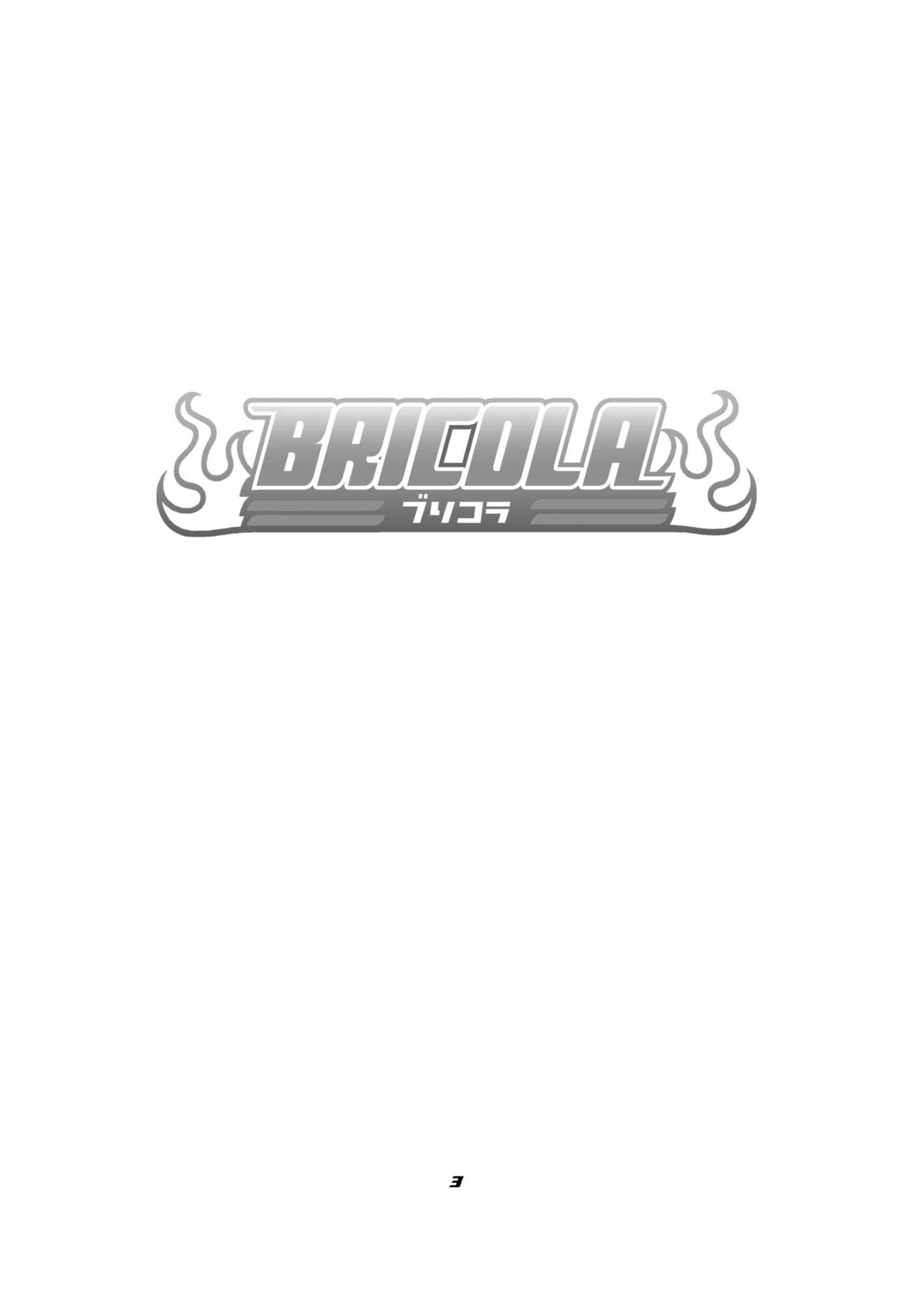 BRICOLA page 2 full