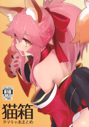(COMIC1☆13) [Katamimi Headphone (Ariyoshi Gen)] Nekobako (Fate/Grand Order) cover