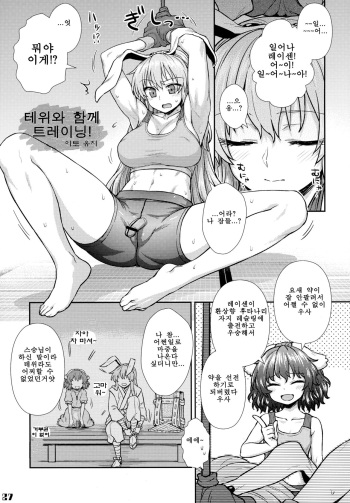 (Reitaisai 13) [Stapspats (Various)] Gensoukyou Futanari Chinpo Wrestling Goudou-shi 2 GFCW Extreme Joker (Touhou Project) (korean) (part) cover